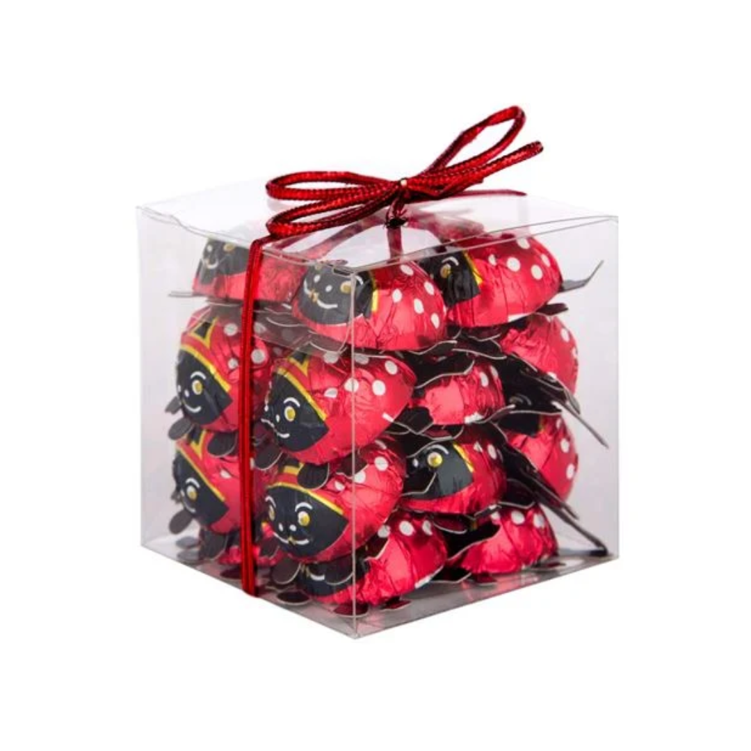 Storz Chocolate Lady Bird Gift Set - 125g (20 pce)